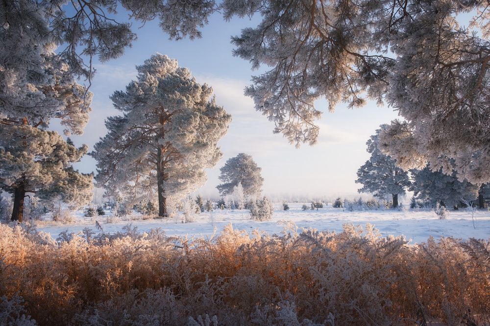 Photograph by Леонтьев Константин