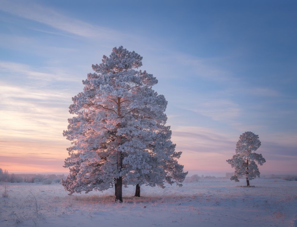 Photograph by Леонтьев Константин