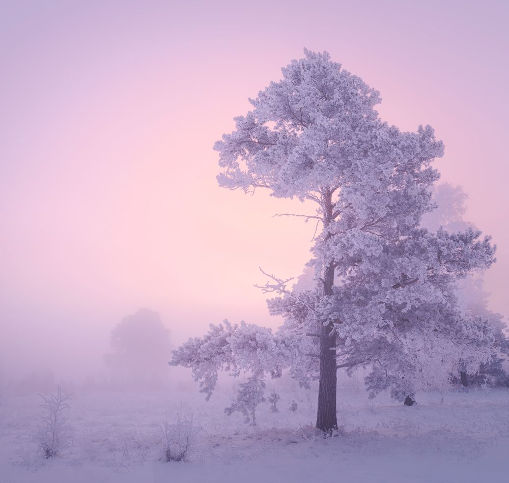 Photograph by Леонтьев Константин