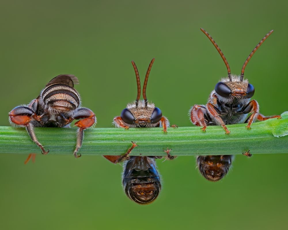 Dysfunctional Family