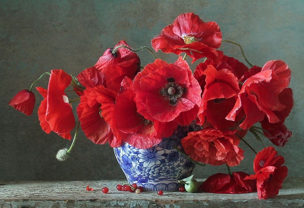 Нежность бархатных крыльев