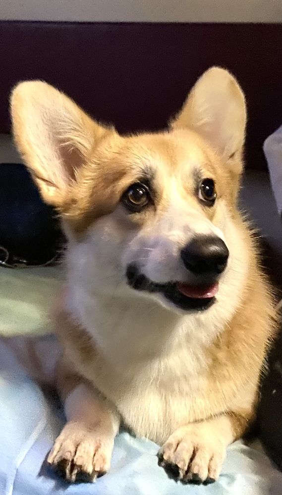 Photograph by Алиса Лукина