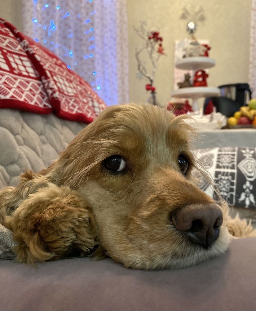 Photograph by Алиса Лукина