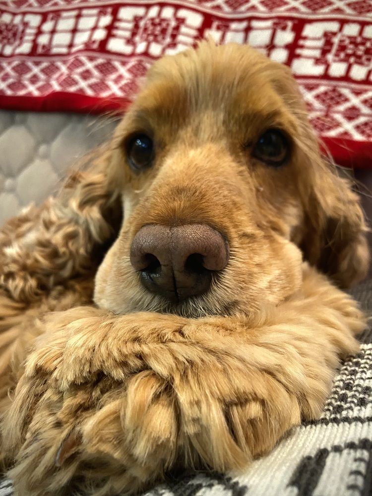 Photograph by Алиса Лукина