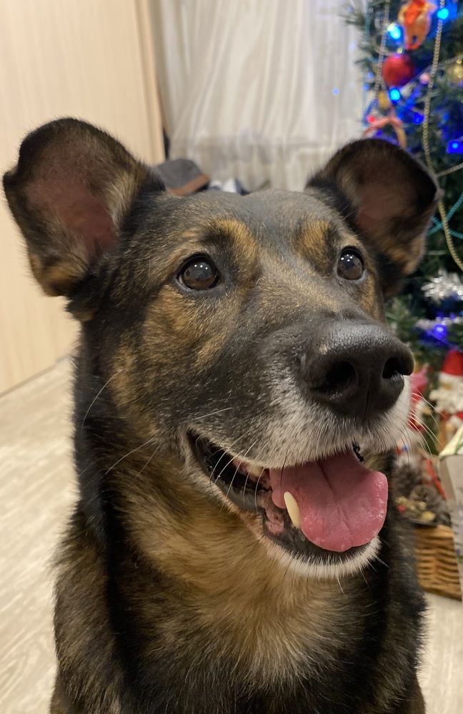 Photograph by Алиса Лукина