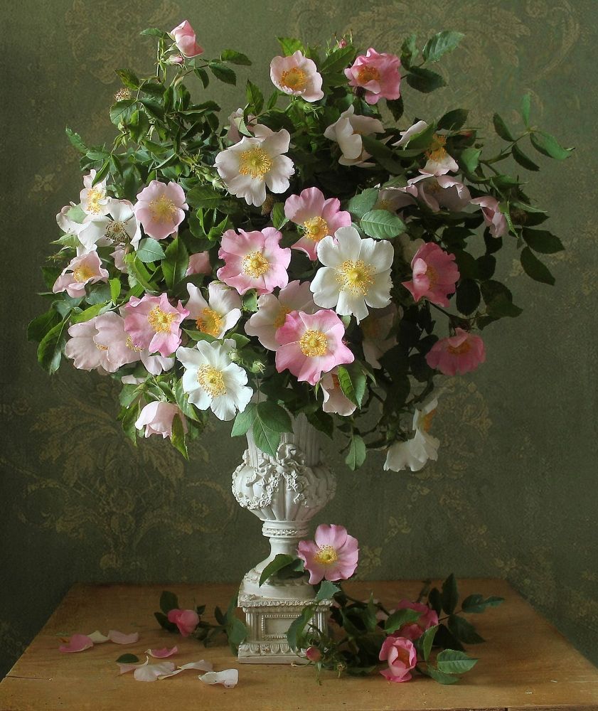 Ах, шиповник!