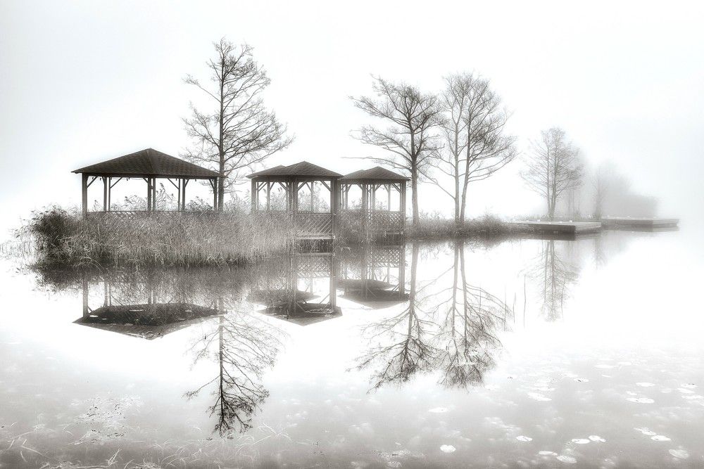 Photograph by Janis Serdienis