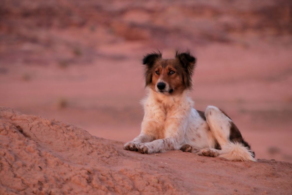 Photograph by Ирина Салминен