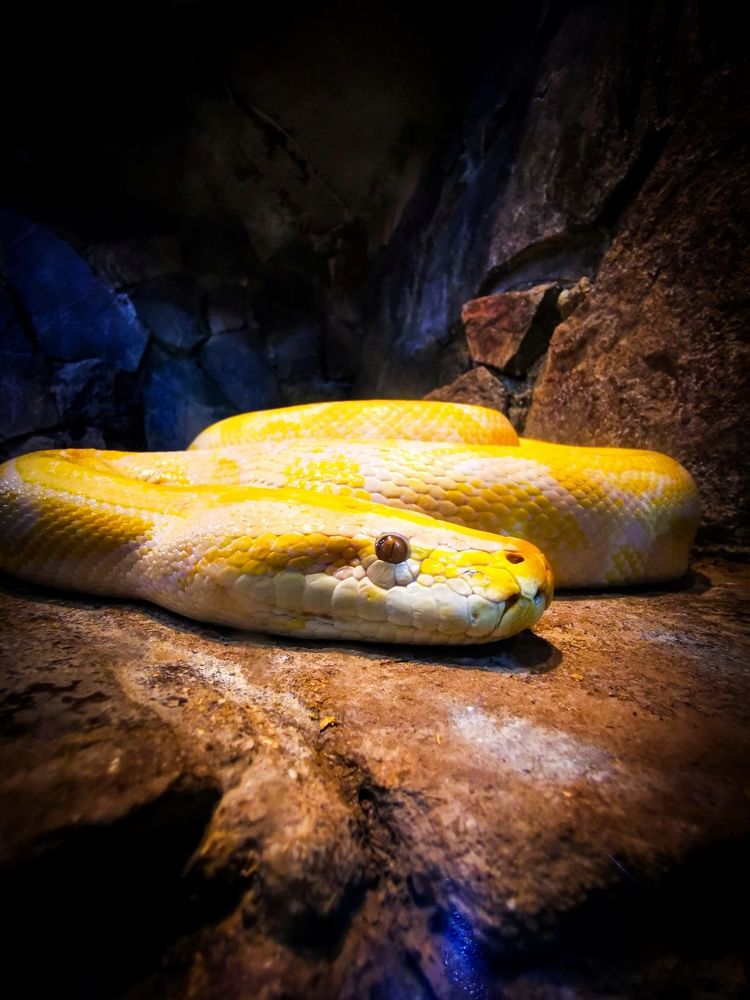 Photograph by Мария Цепилова