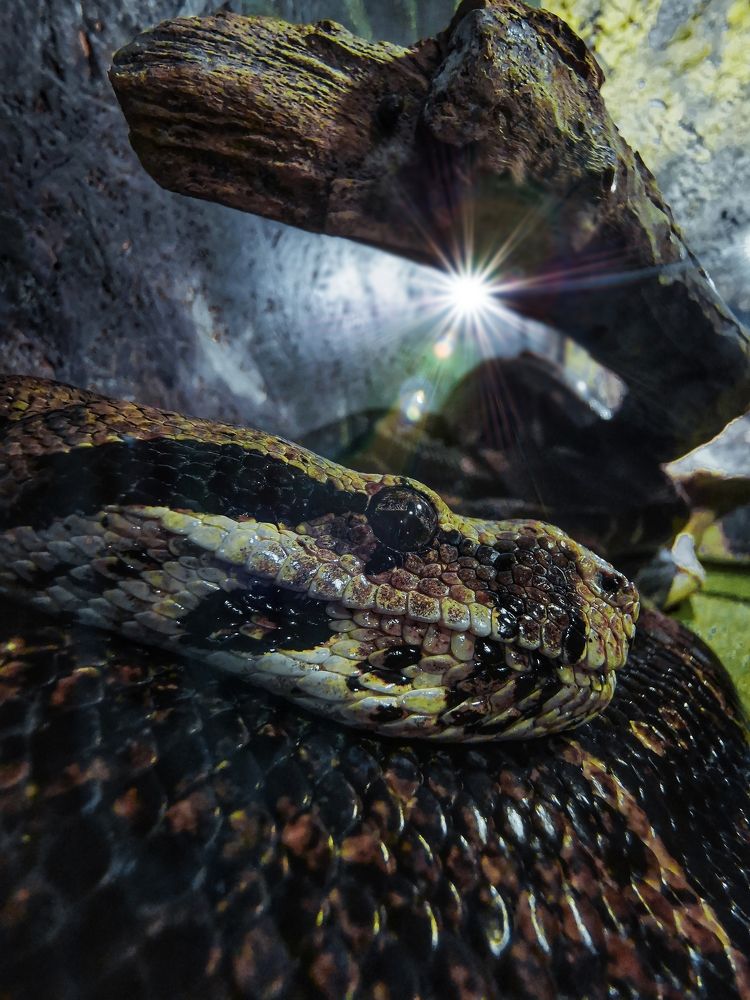 Photograph by Мария Цепилова