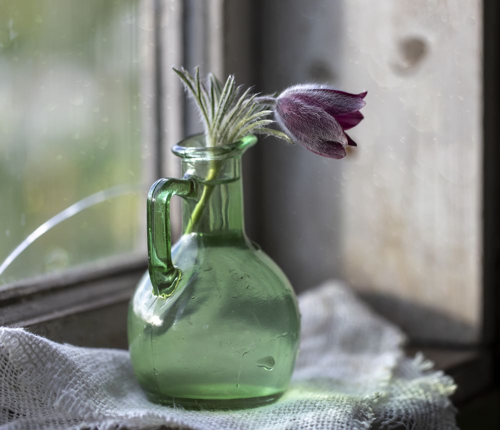 Photograph by Татьяна Феденкова