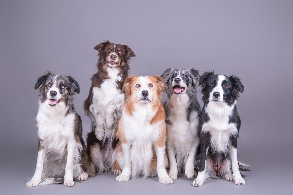 Photograph by наталья залогина