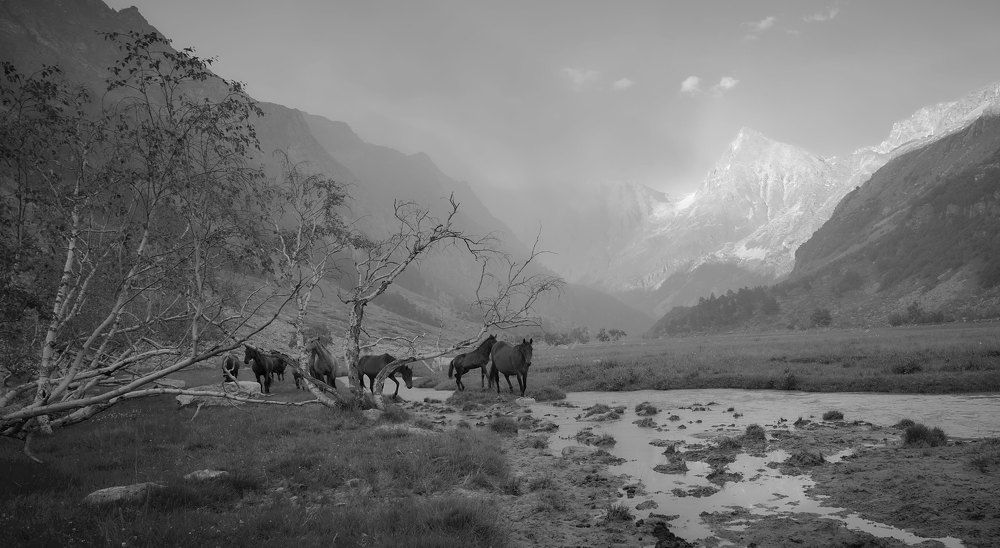 Photograph by Борис Дацковский