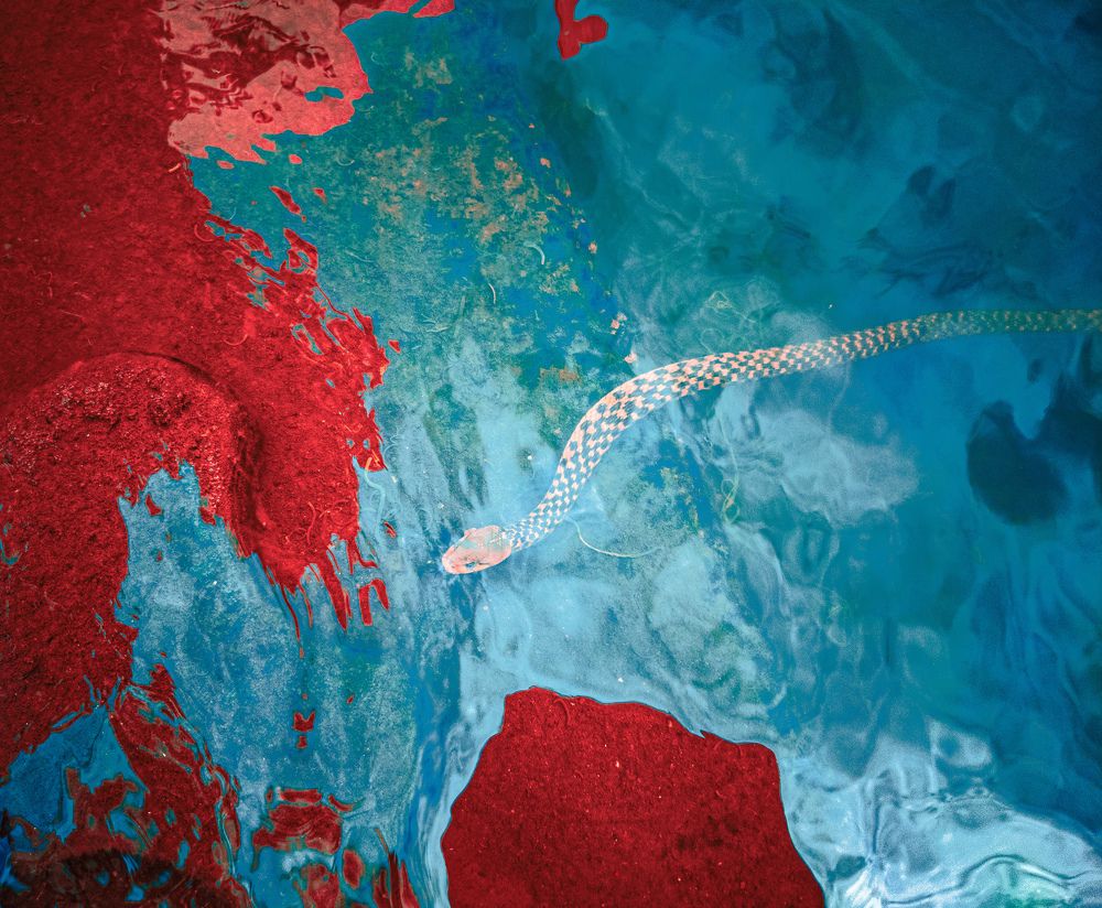 Photograph by Pritam Majumder