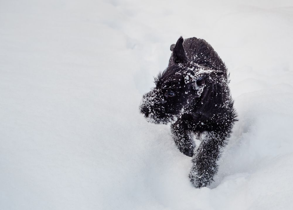 Photograph by Юлия Герман