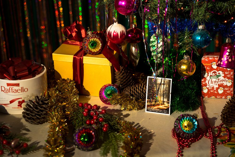 Фотография автора Василиса Новикова