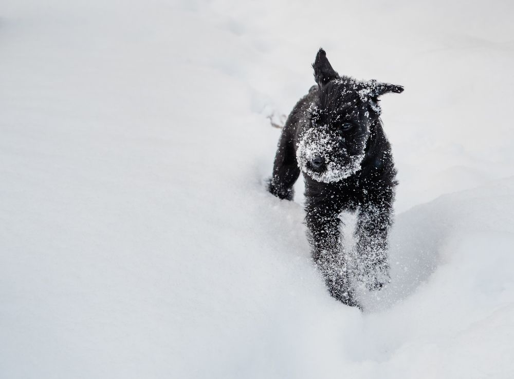 Photograph by Юлия Герман