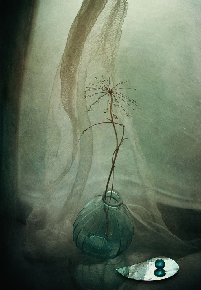 Photograph by Александр Хромеев