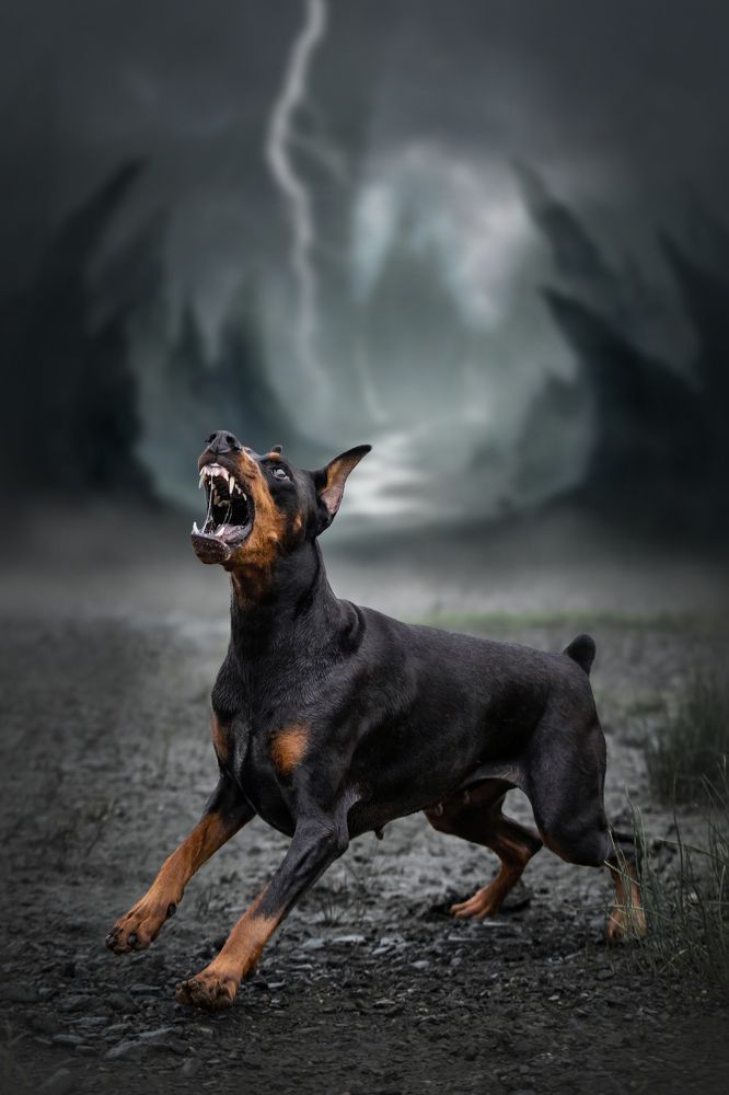 Photograph by Алена Райфутдинова