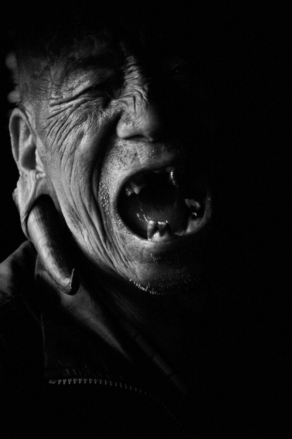 Photo #11590061