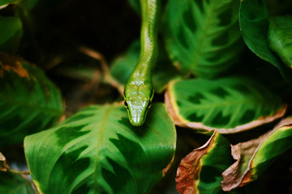 Photograph by Natalie Rozvezeva