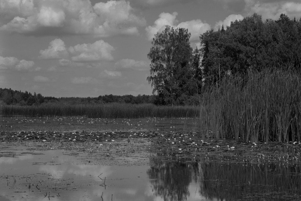 Photograph by Наталья Касимова