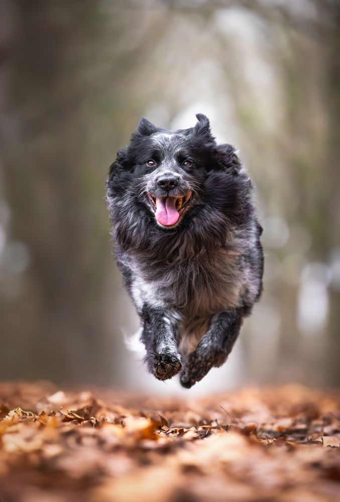 Photograph by Shanna van Mens