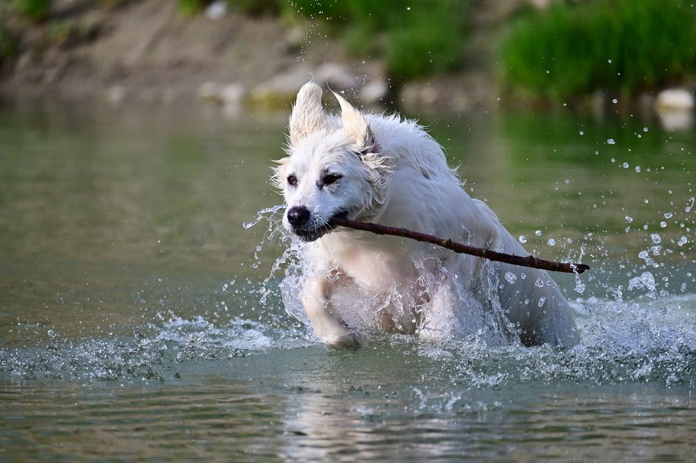 Photograph by Светлана Ивановна