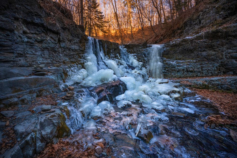 Фотография автора Ольга Мусиенко