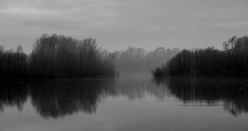 Photograph by Алексей Хасанов