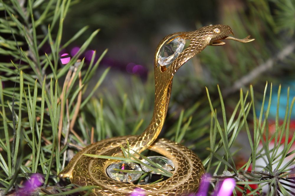 Photograph by Елена Коробченко