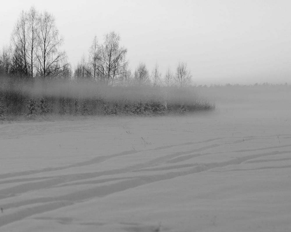 Photograph by Людмила Кочеткова