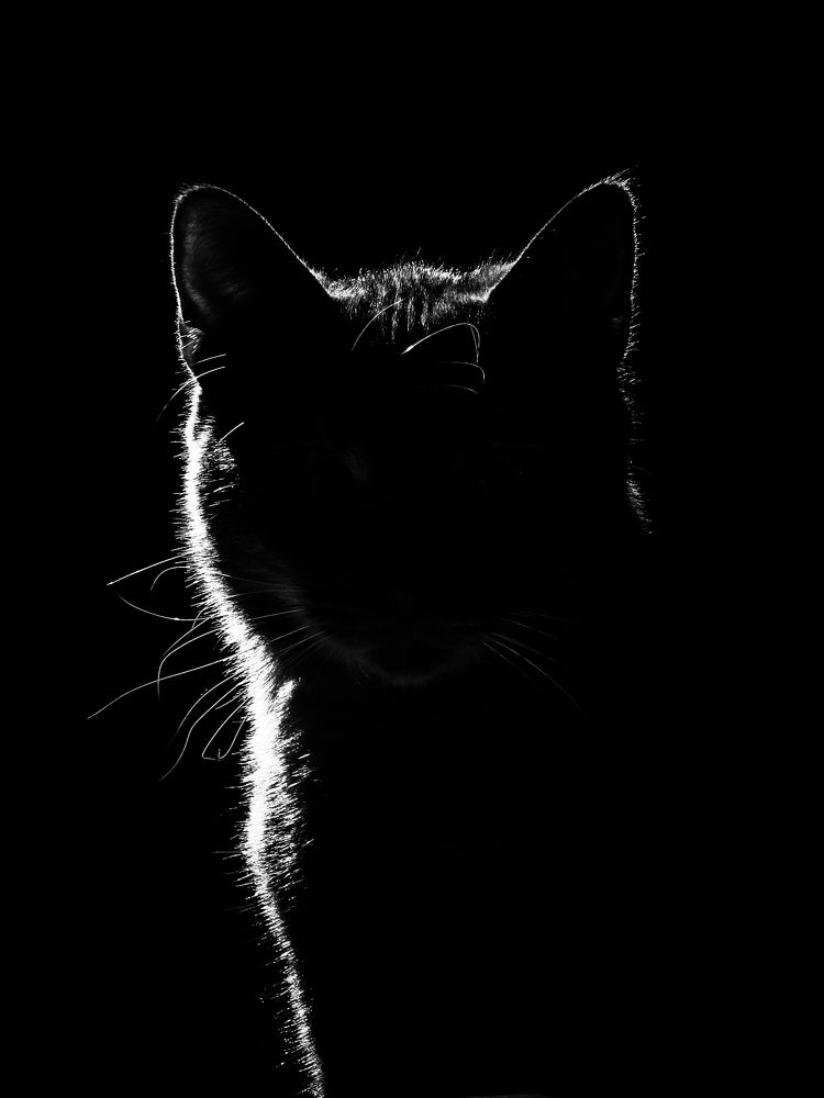 Photograph by Giorgi Akopjanov