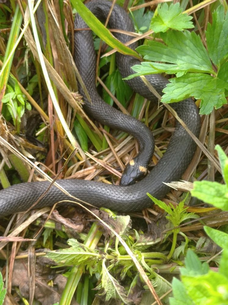 Photograph by Елена Коробченко