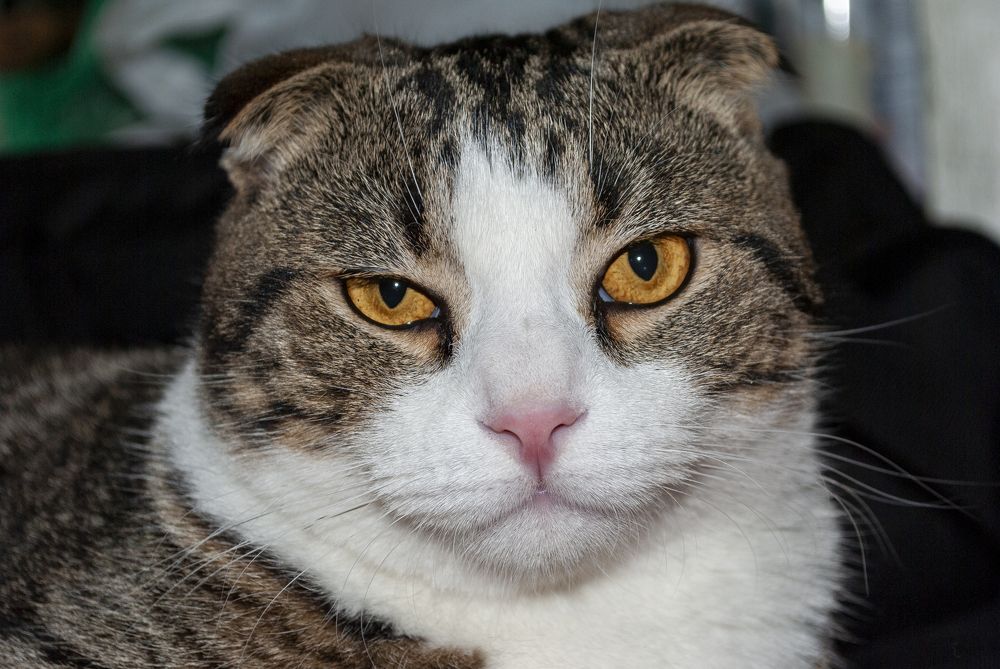 Photograph by Олег Малетин