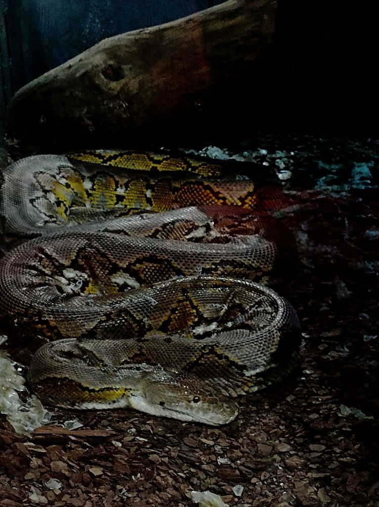 Photograph by Viktoryia М