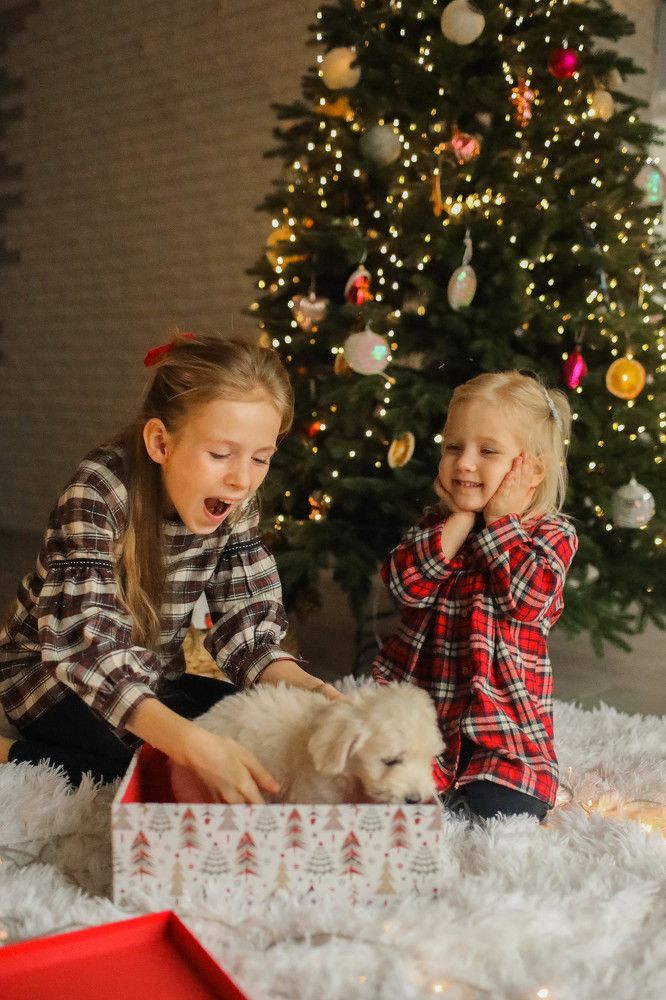 Photograph by Ирина Тищенко