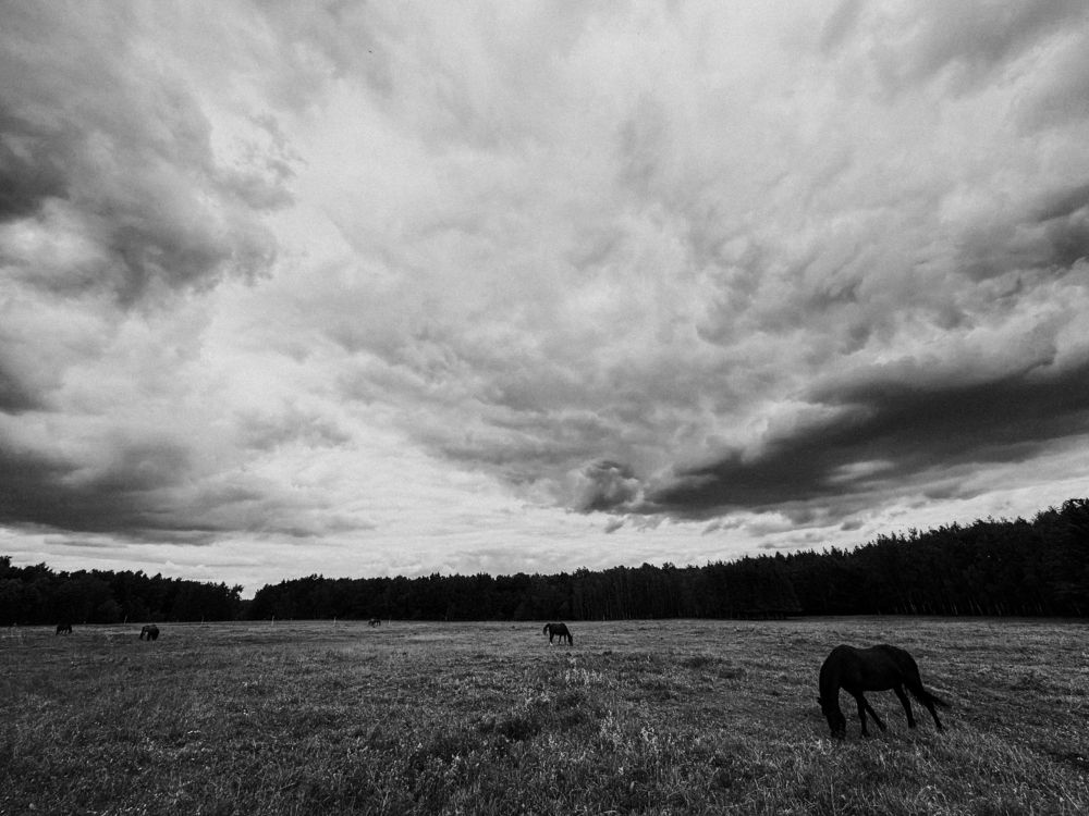 Photograph by Якушин Роман