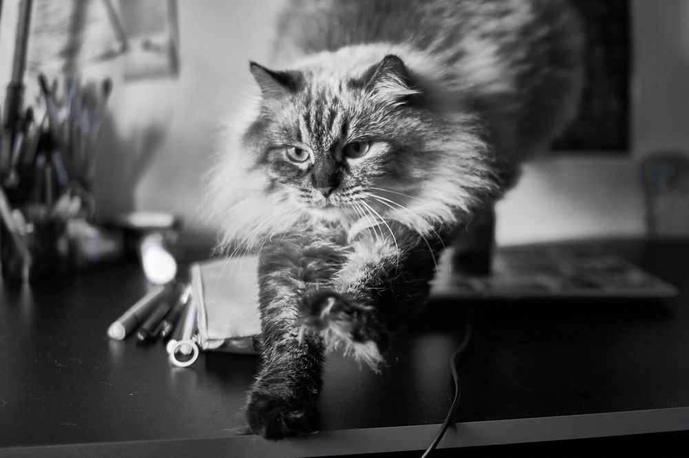 Photograph by Ванда