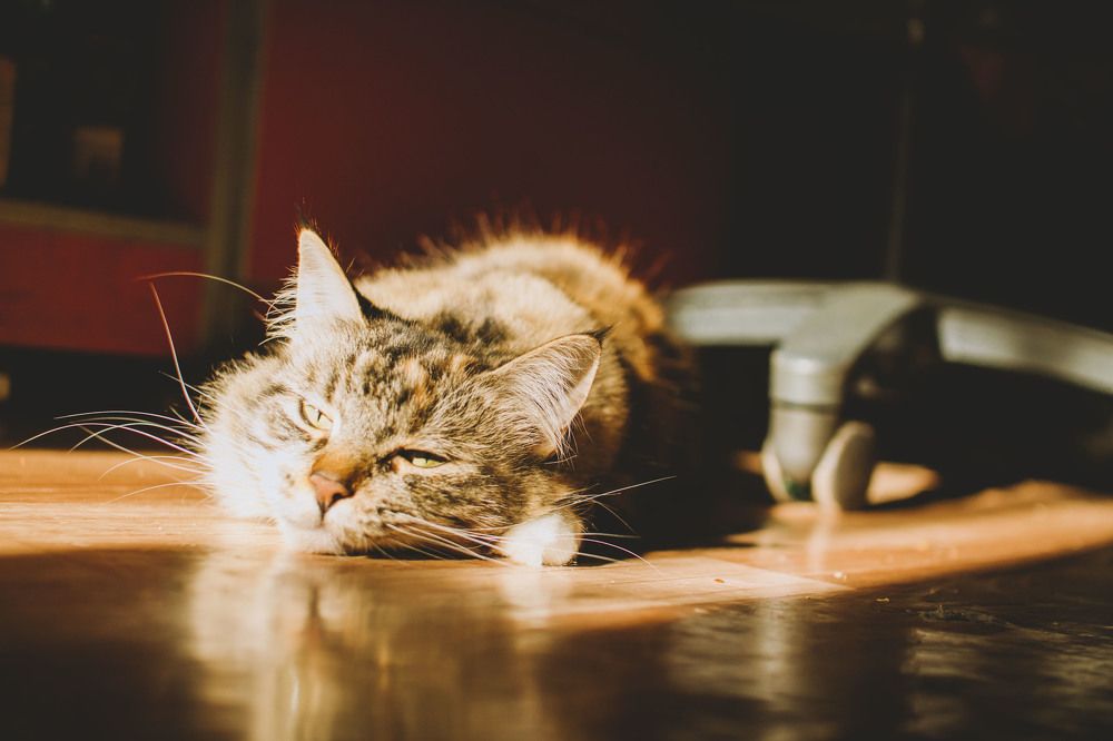 Photograph by Ванда