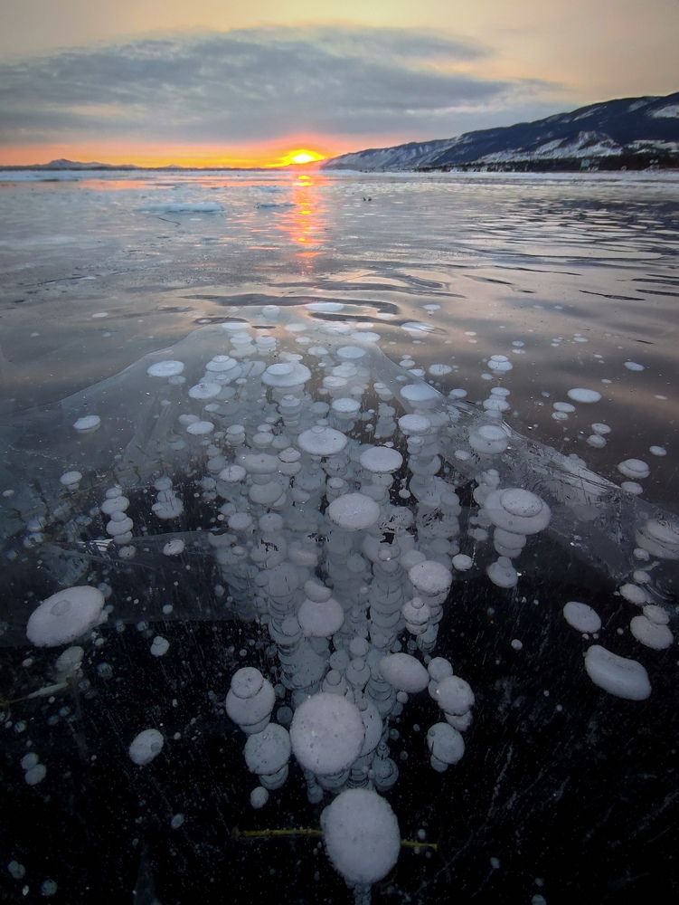 Photograph by Елена Вторушина