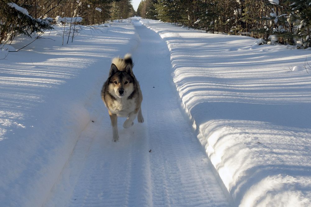 Photograph by Олег Малетин