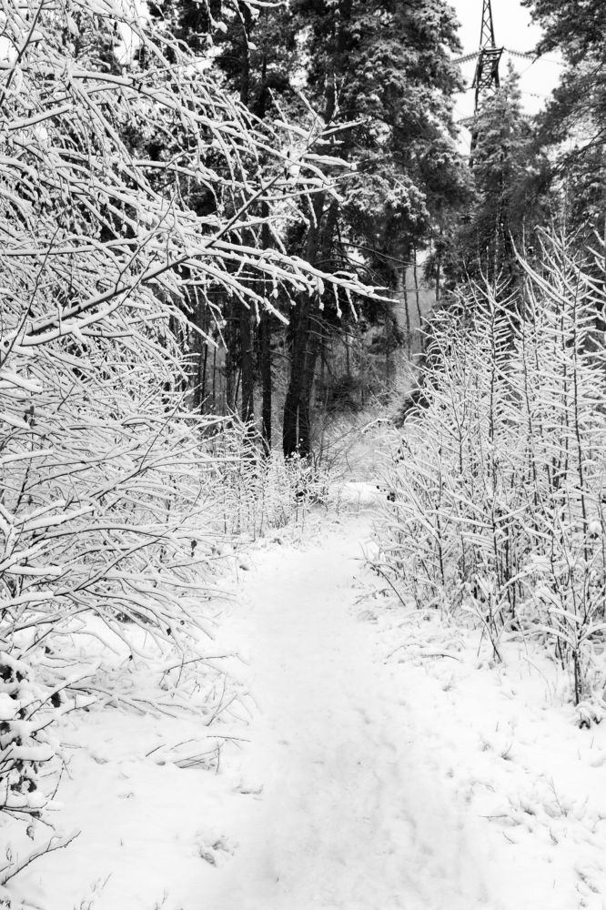 Photograph by Дмитрий Тимин