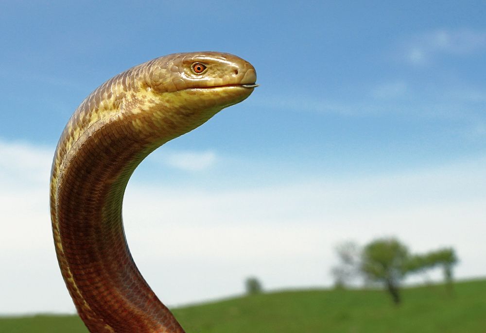 Photograph by Ramil Yangaev