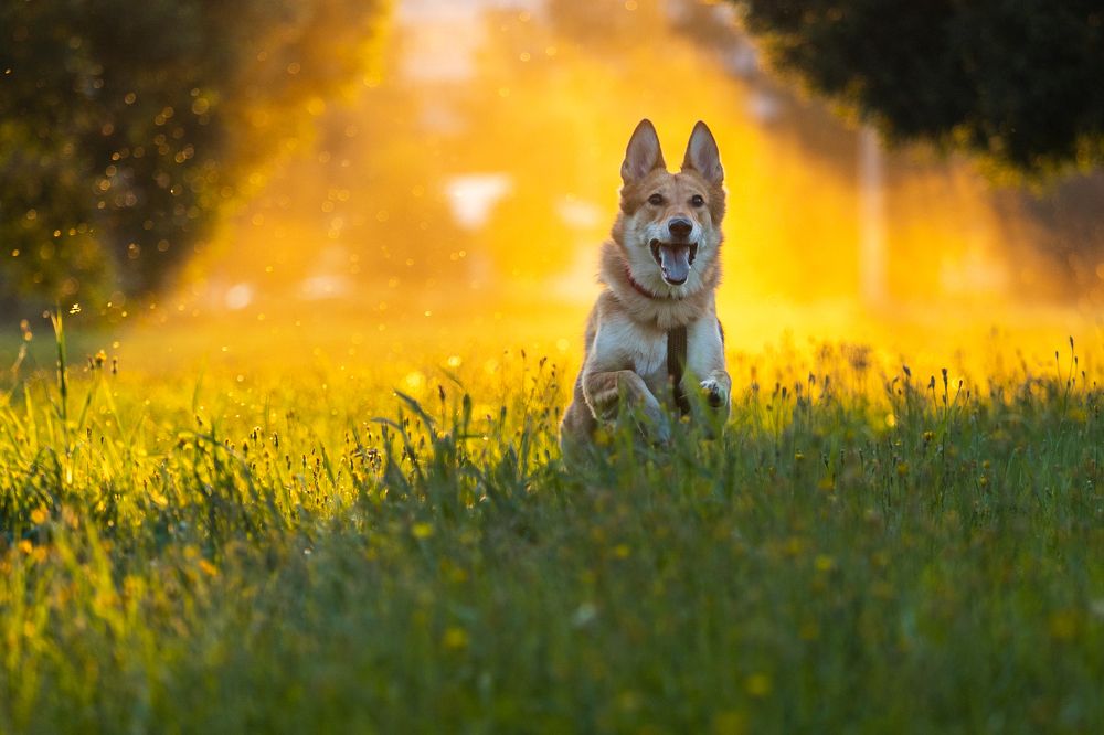 Photograph by Торопов Александр