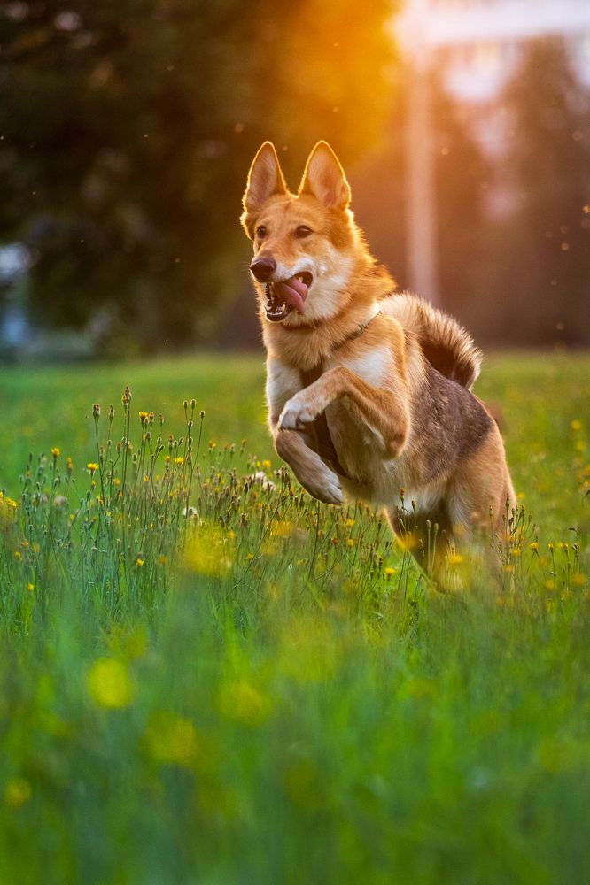 Photograph by Торопов Александр