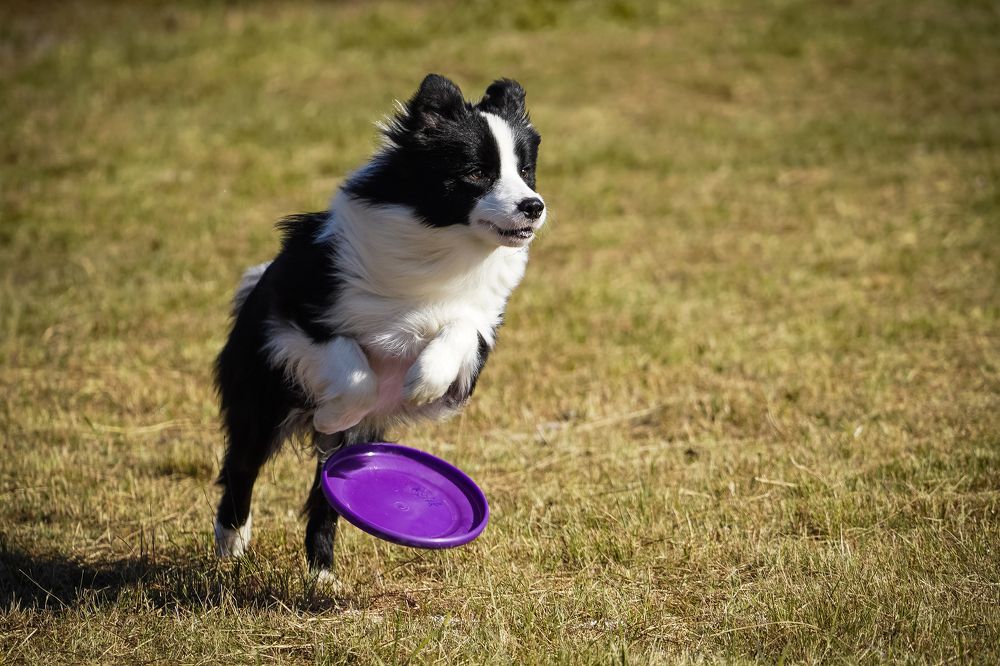 Photograph by Ignatenko Andrew