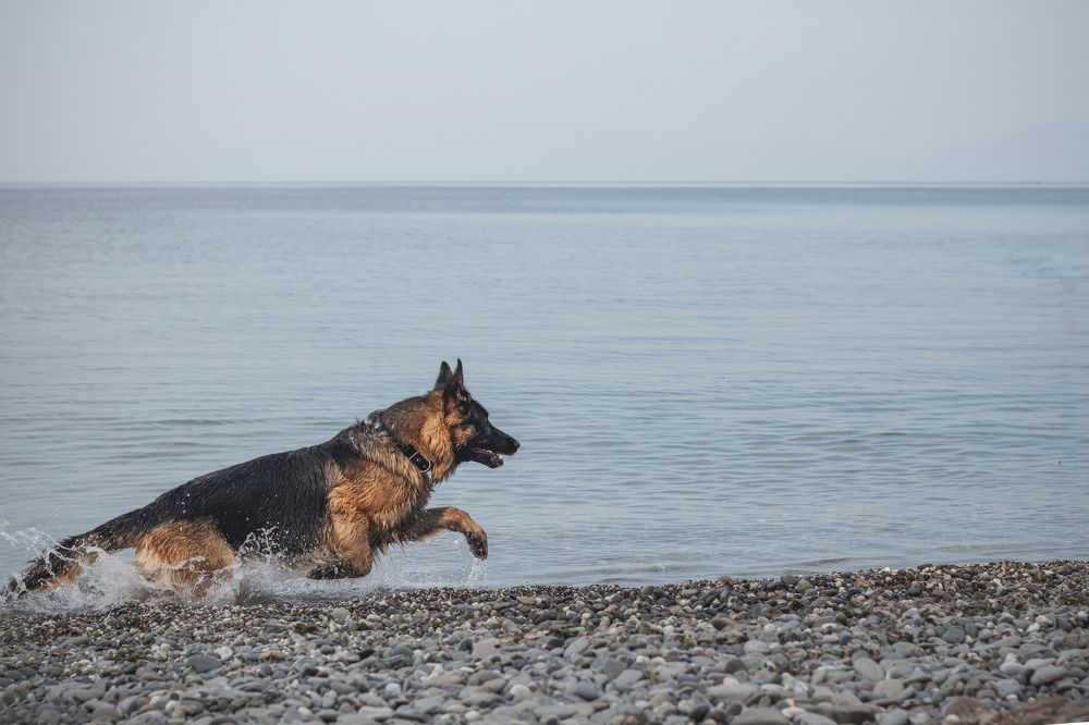 Photograph by Любовь Головина