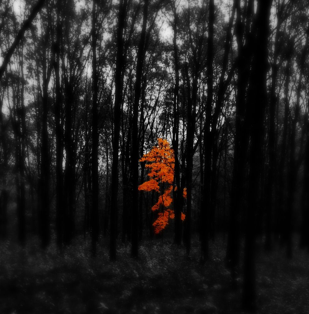 Photograph by Irina Dali