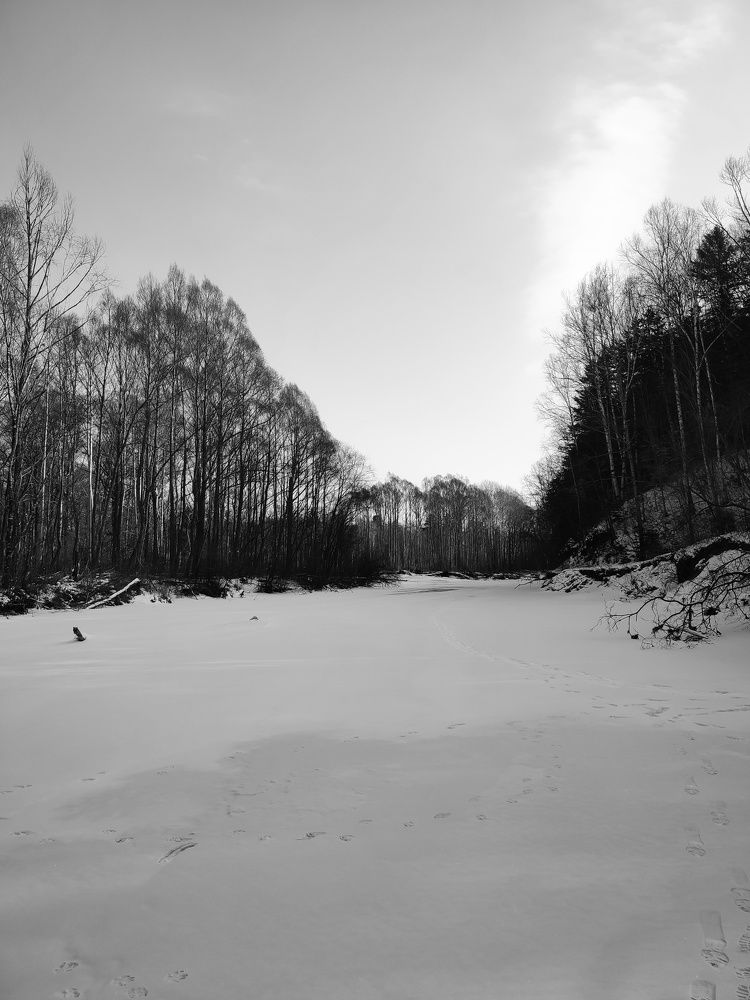 Photograph by Козлова Ольга